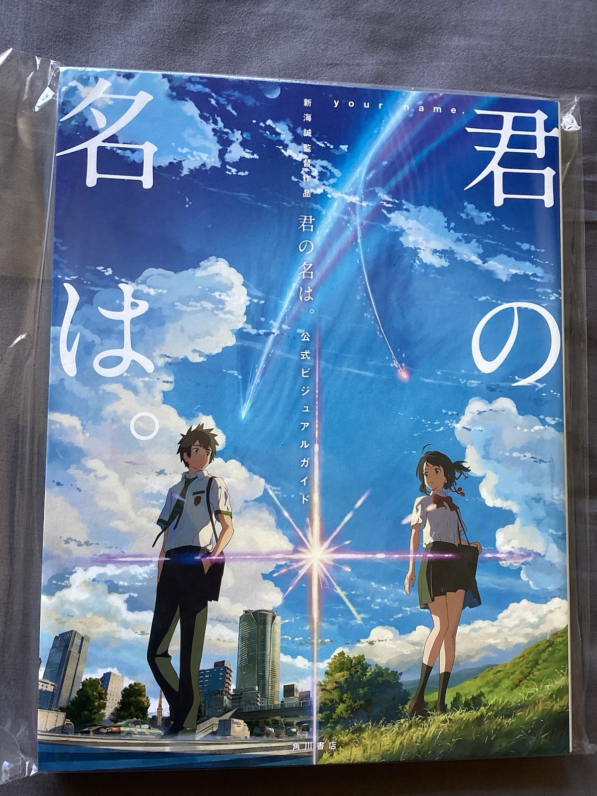 Shinkai Makoto Your Name Kimi no Na wa Official Visual Guide Book Japan – GOOD