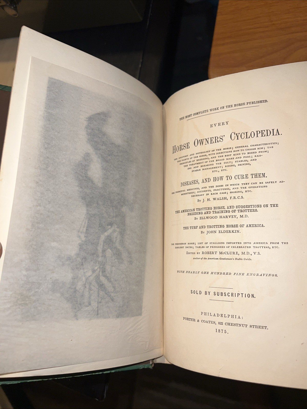 Every Horse Owners&rsquo; Cyclopedia – Diseases, And How To Cure Them 1875 & 1971