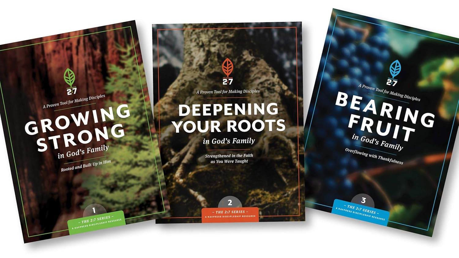 Strengthen Your Faith: Rooted in God&rsquo;s Family (The 2:7 Series)