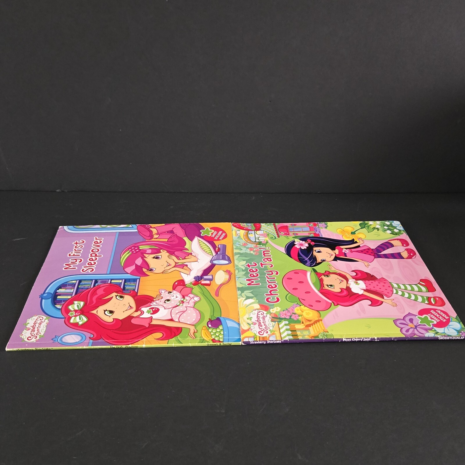 Lot Of 2 Strawberry Shortcake Books From 2010&rsquo;s