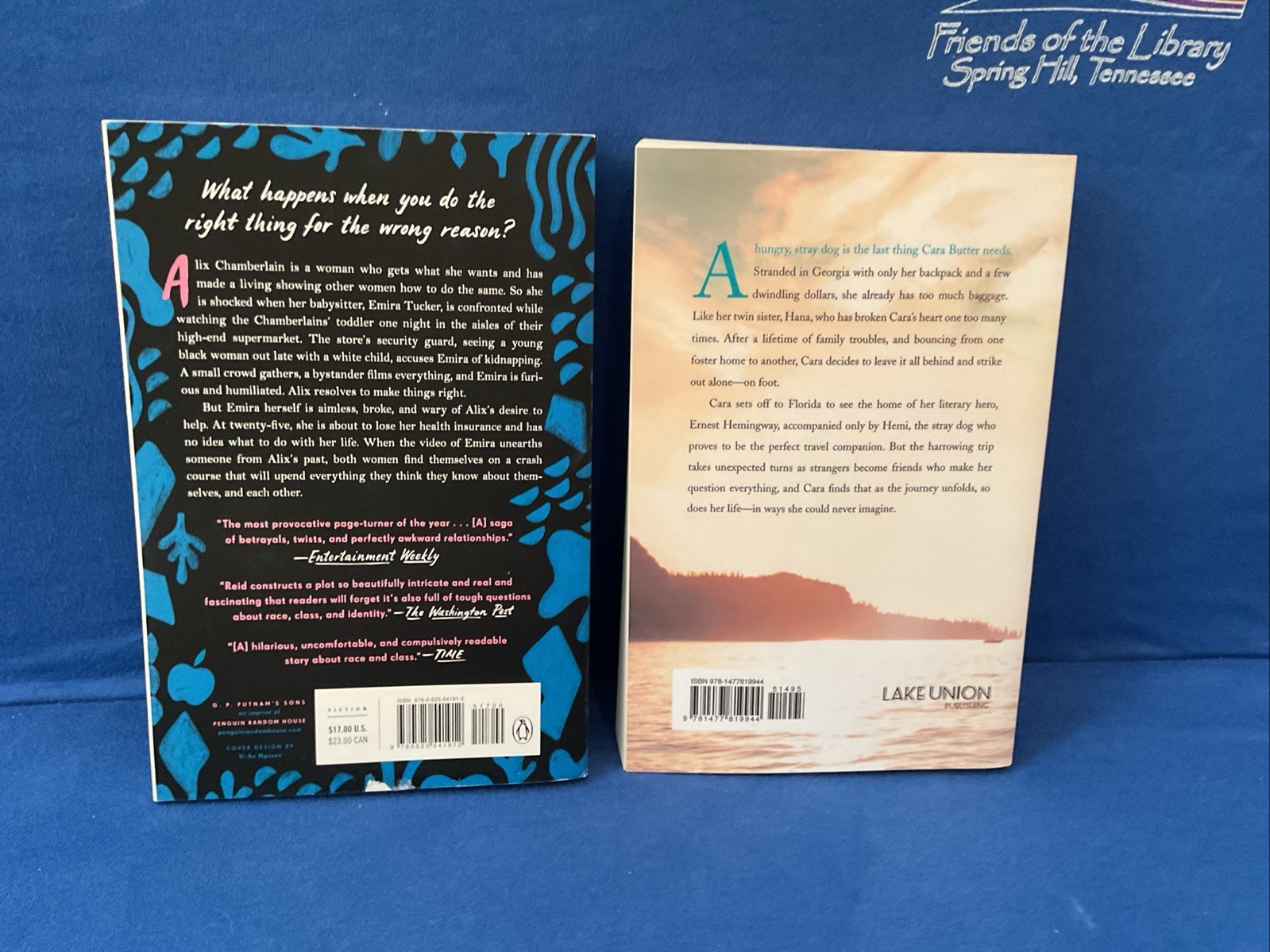 Lot of 11 – Women&rsquo;s Contemporary Topics, By Jodi Picoult & Others, PB
