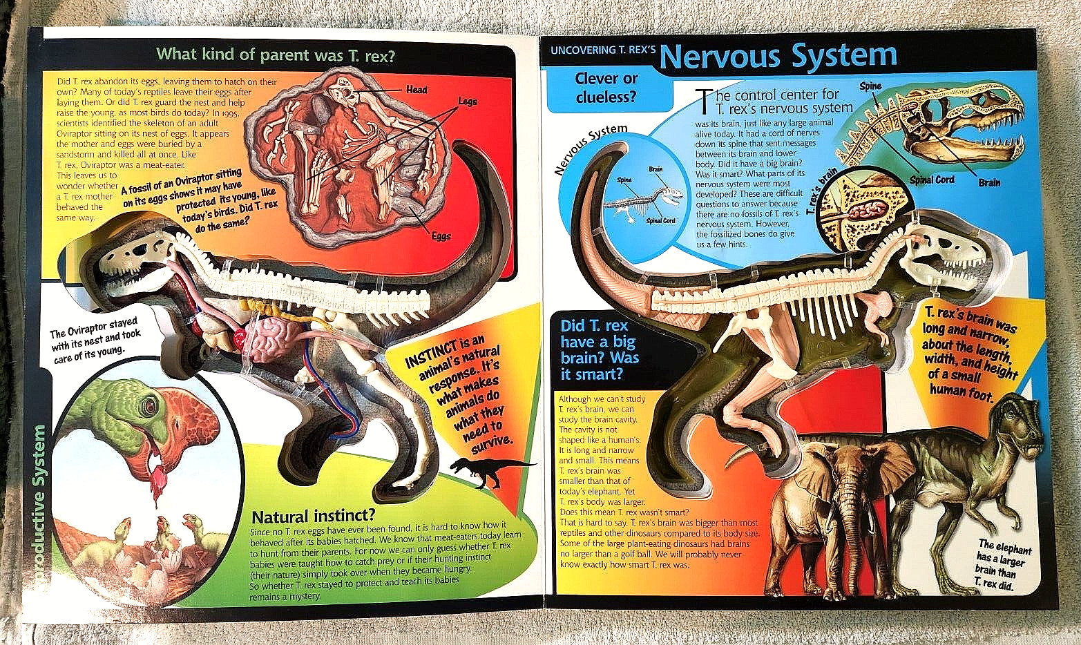 Take A Three-Dimensional Look Inside a T-Rex (2003 Readerlink Uncover Books Used