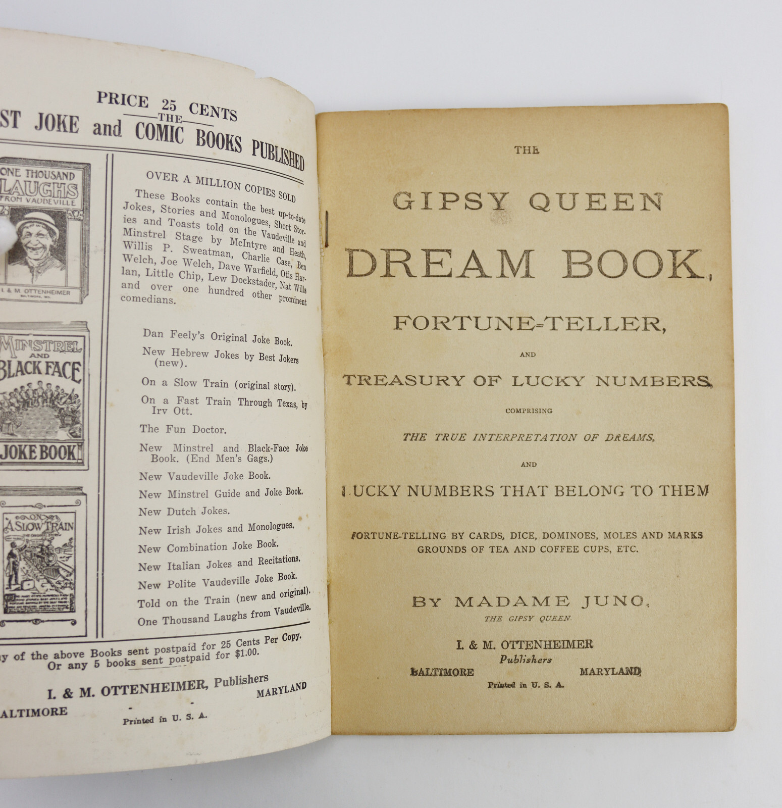 Original 1887 Gypsy Queen Fortune Teller Dream Book by Madame Juno Antique