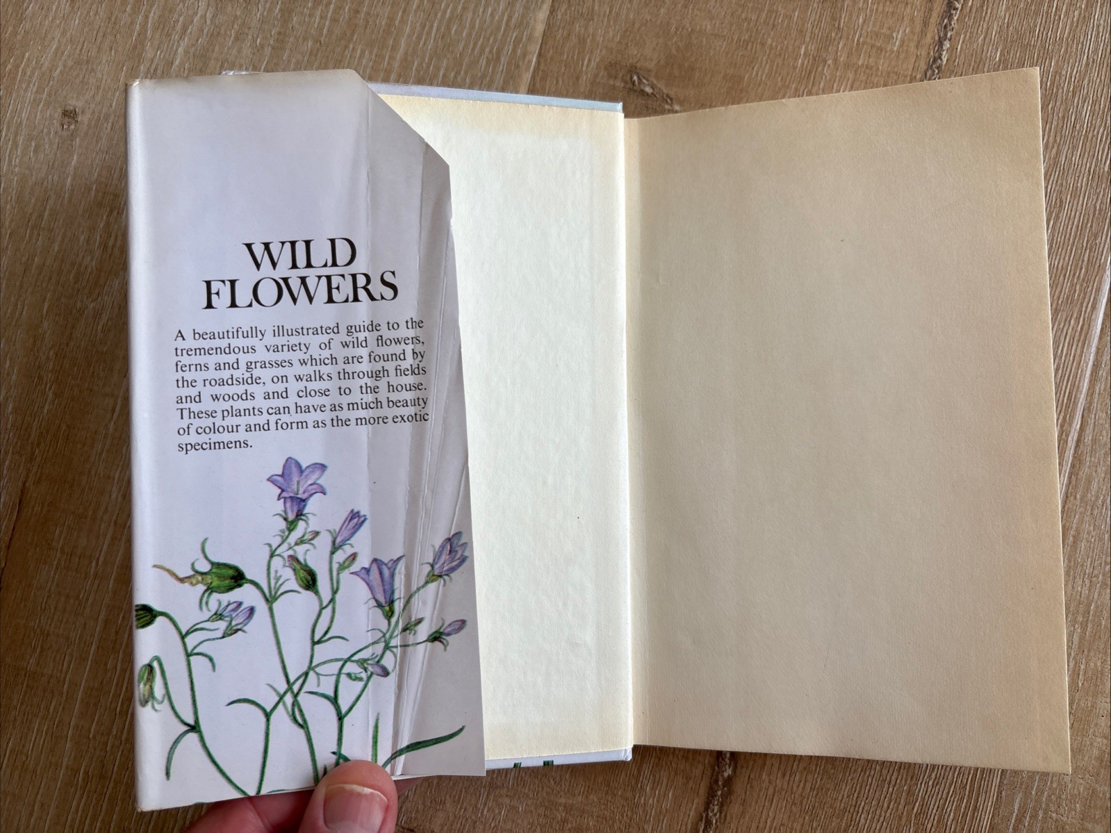 WILD FLOWERS FERNS AND GRASSES Bohumil Slavik 1975 HCDJ Octopus Czech Guide Vtg