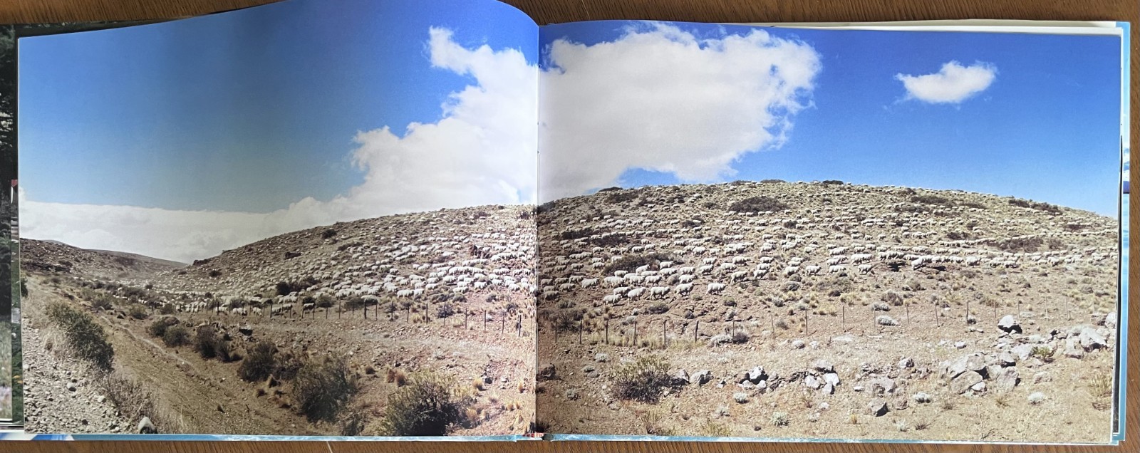 Patagonia Southern Argentina – Panoramic Photography Journey – Natural History