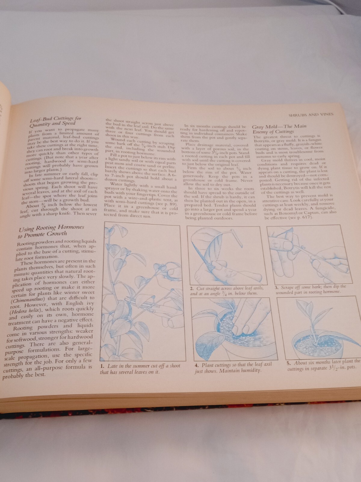 Vintage 1978 Reader&rsquo;s Digest Illustrated Guide to Gardening Hardcover; 672 pages