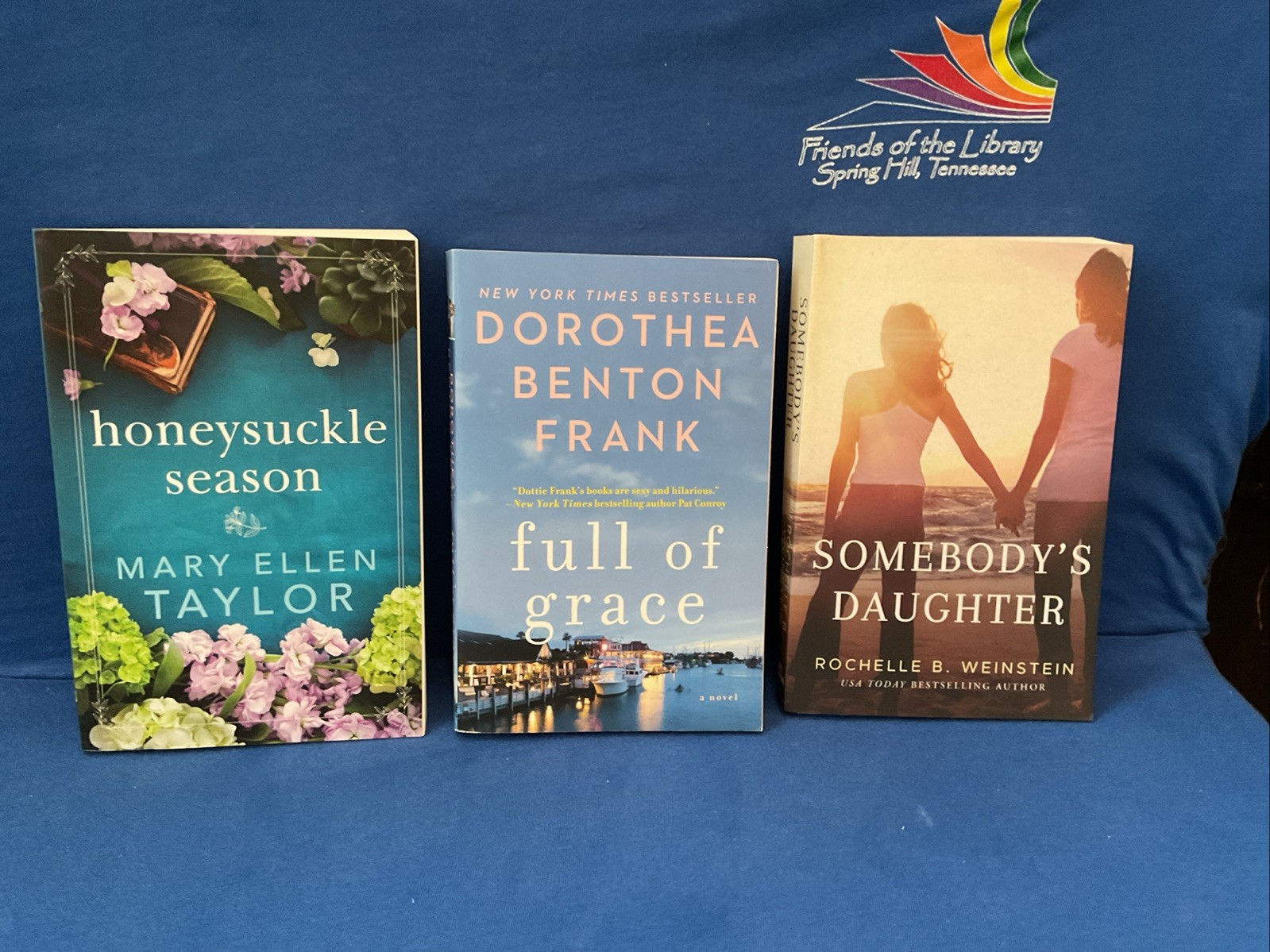 Lot of 11 – Women&rsquo;s Contemporary Topics, By Jodi Picoult & Others, PB
