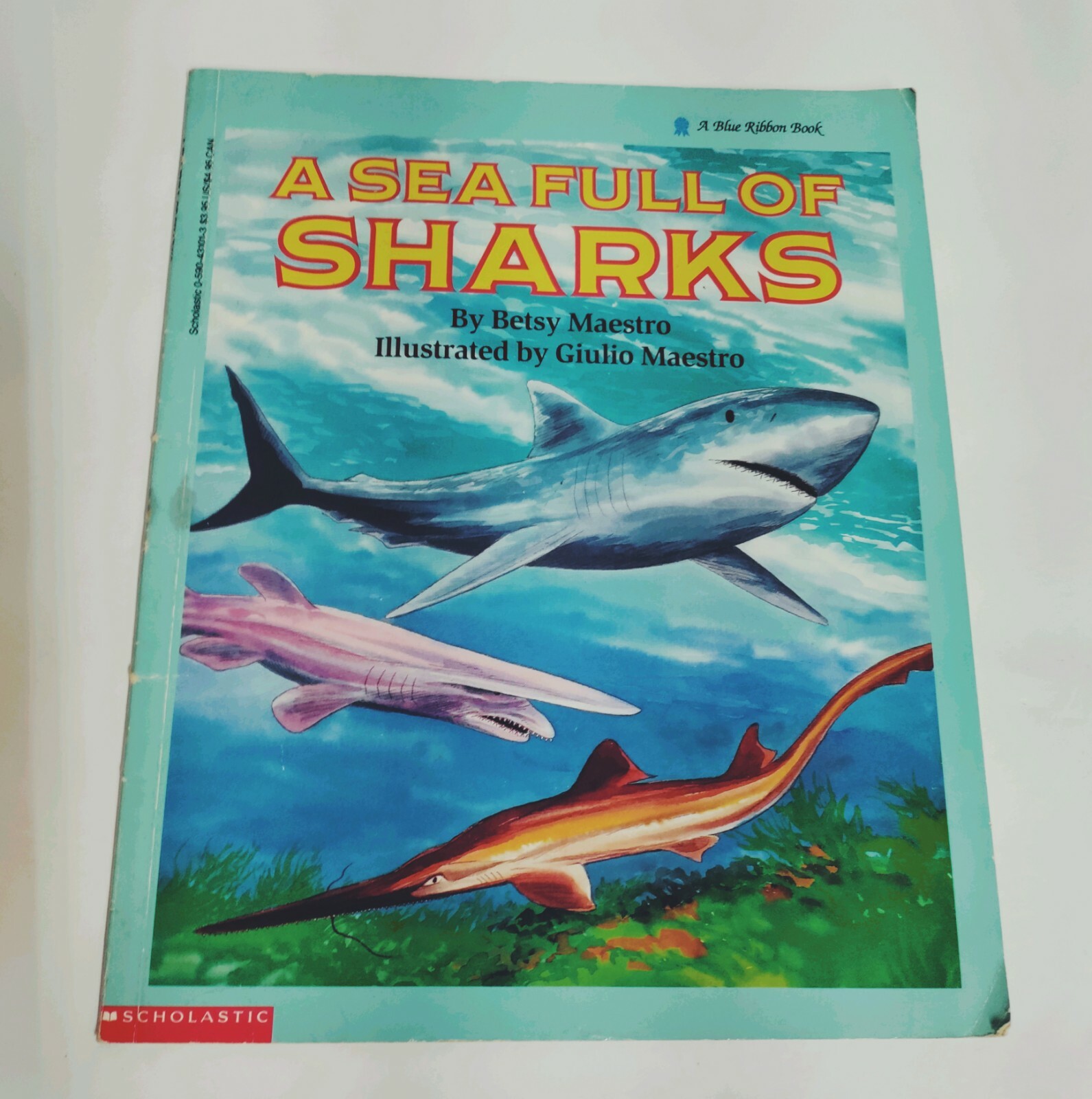 Vntg Children&rsquo;s Books Dinosaur Rhymns Sea Full Of Sharks Colorful Pictures 2 Bks
