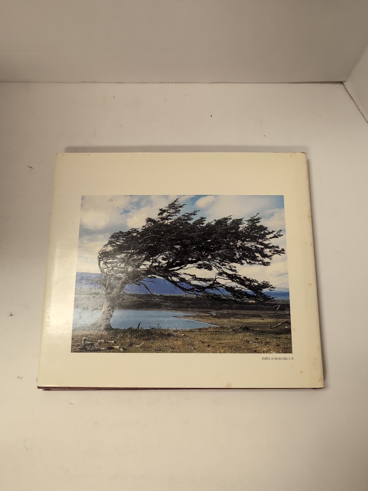 Patagonia Wilderness by Beccaceci 1991 Hardcover First Edition w/ DJ Photography