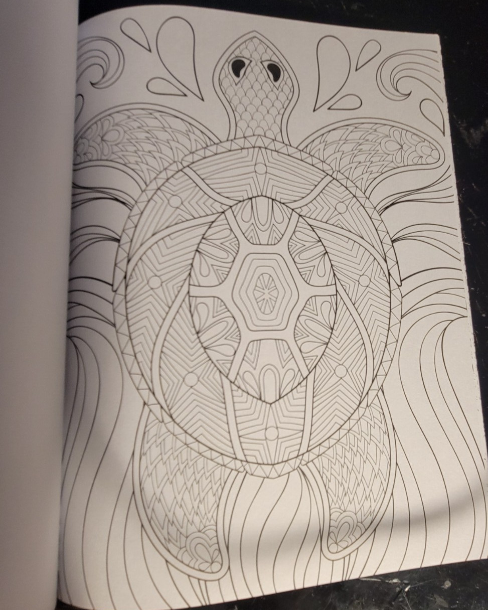 COLOR ME MAGNIFICENT Vol 11 Adult Coloring Book With 47 Prints Ready To Frame