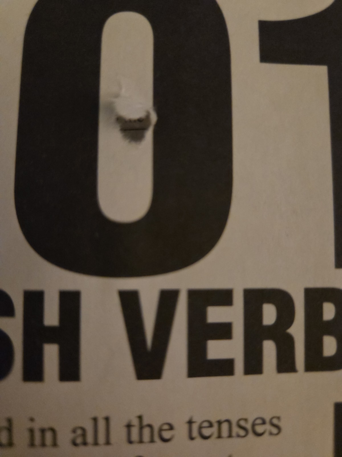 201/301 Verbs Series: 301 Polish Verbs Klara Janecki Barron&rsquo;s Educational Series