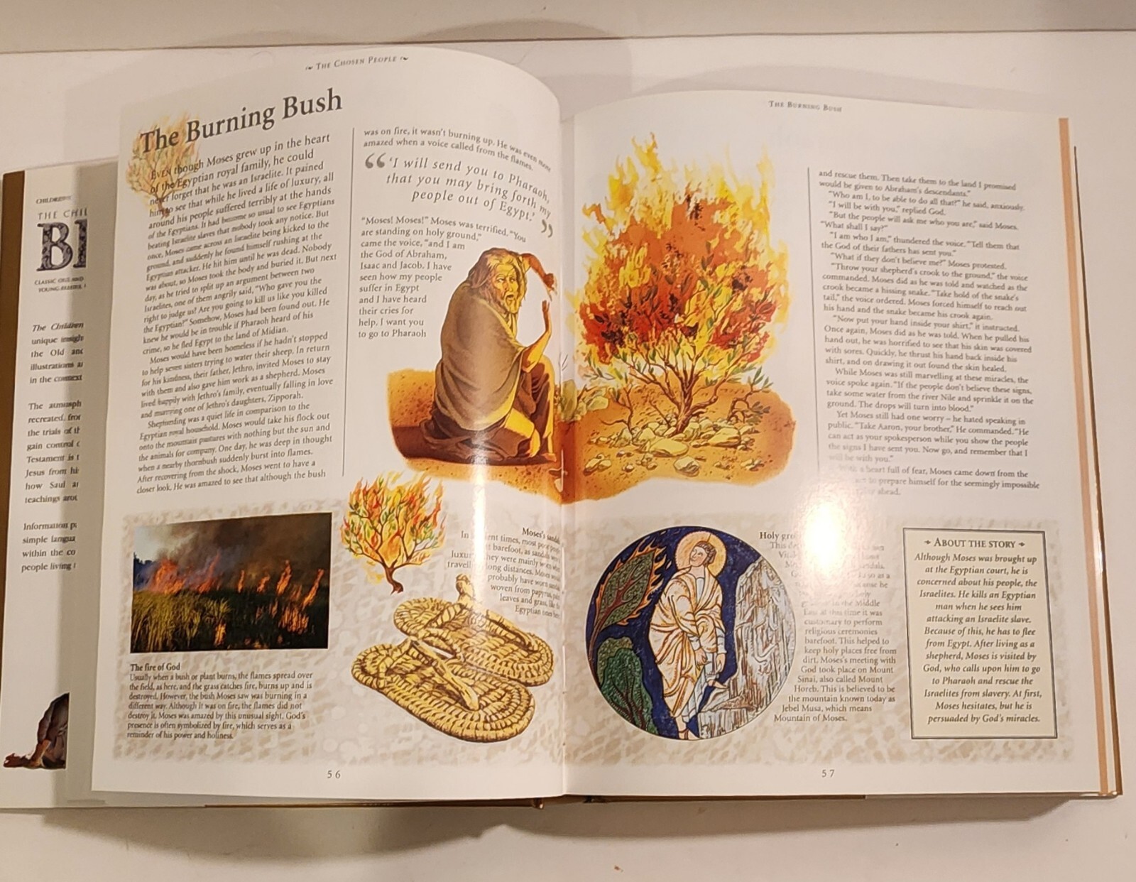 The Children&rsquo;s Illustrated Bible Victoria Parker 512 Pages