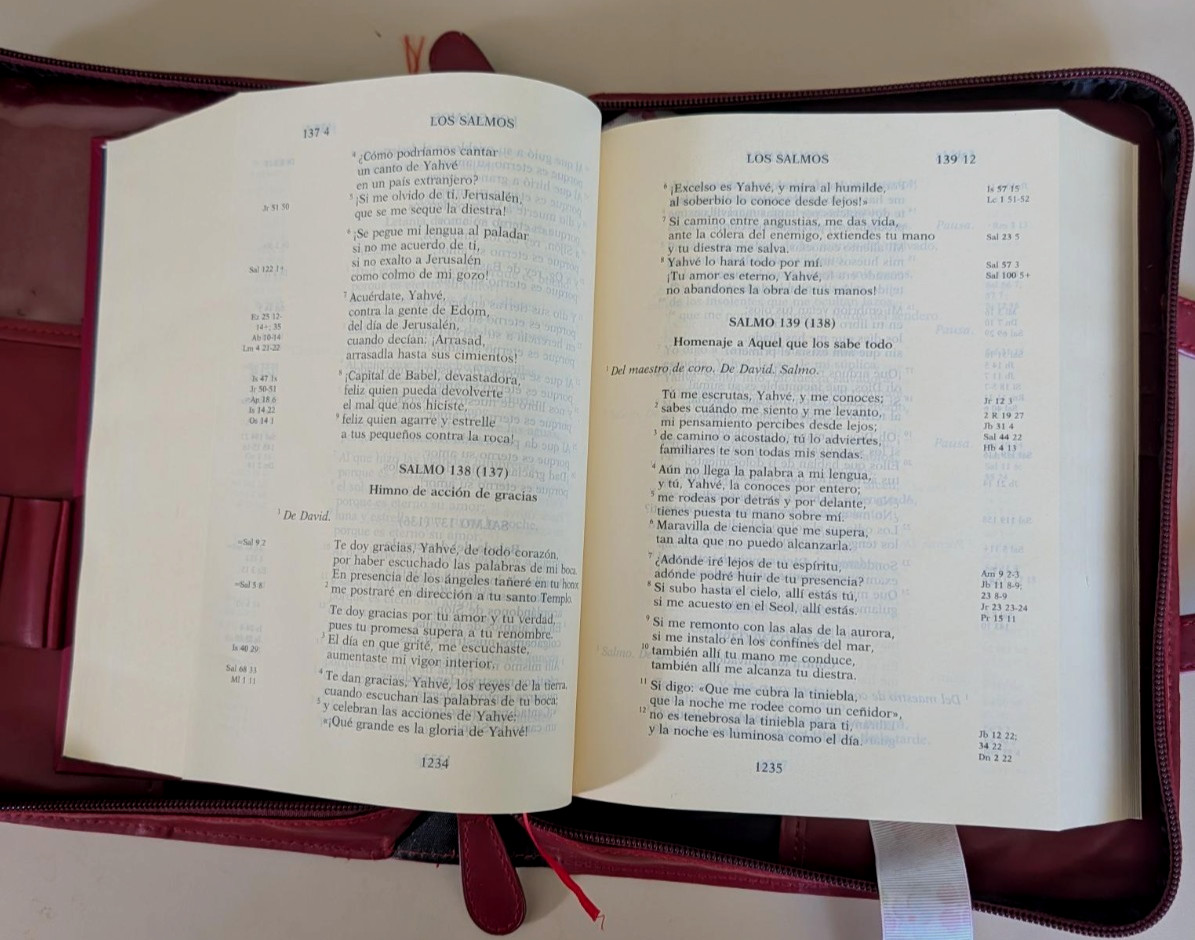Nueva Biblia de Jerusalen Revisda y Aumentada en Letra Grande HC + carrying case