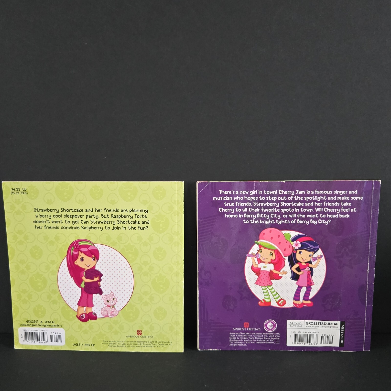 Lot Of 2 Strawberry Shortcake Books From 2010&rsquo;s