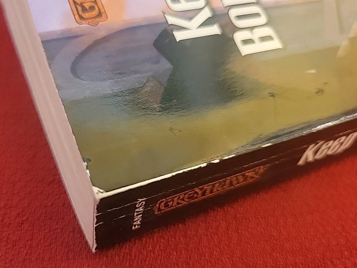 Greyhawk: Keep on the Borderlands Ru Emerson 2001 Wizards of the Coast Paperback