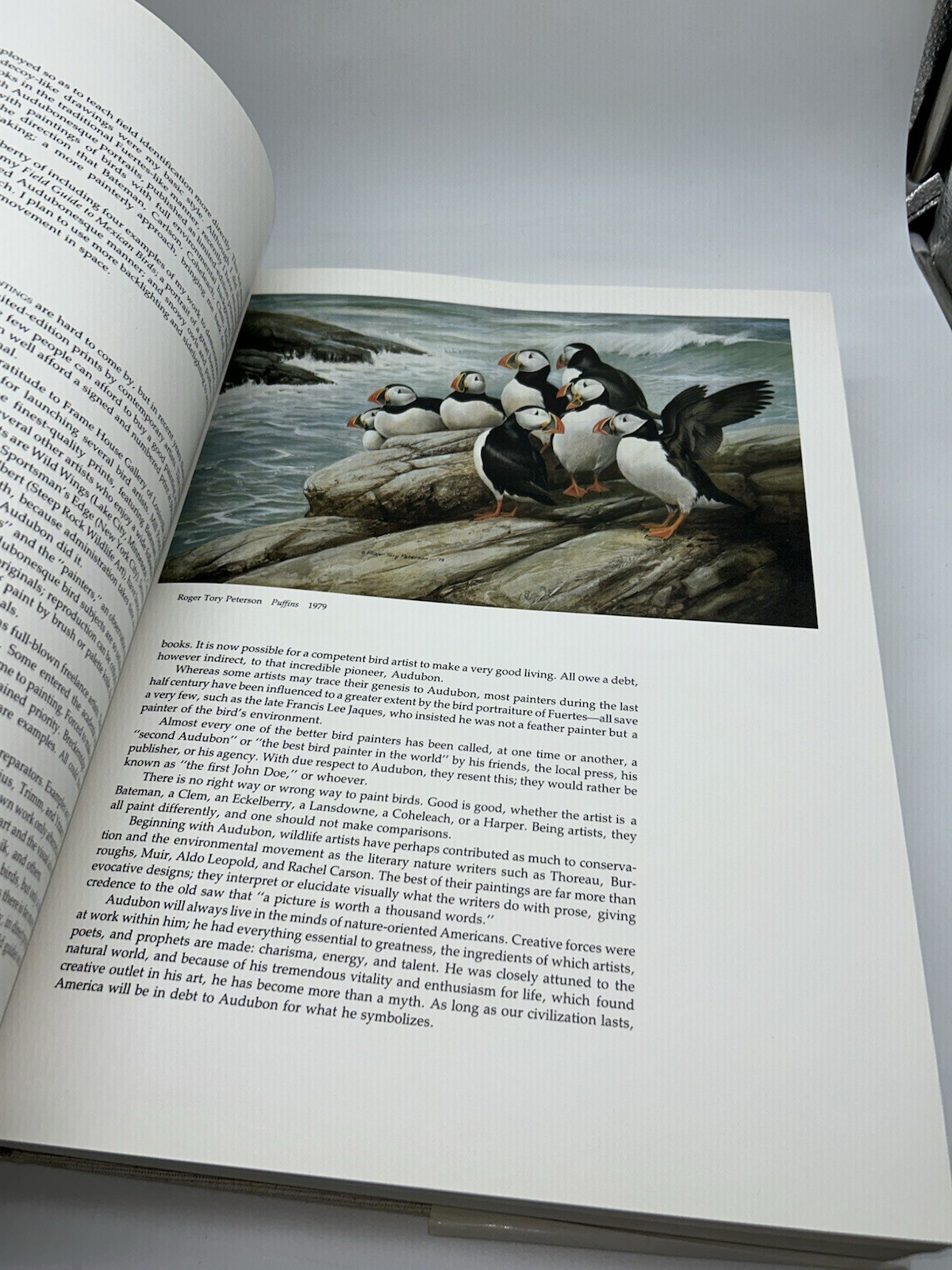 Audubon&rsquo;s Birds of America Peterson Harrison House Audubon Society 435 Pgs 5B