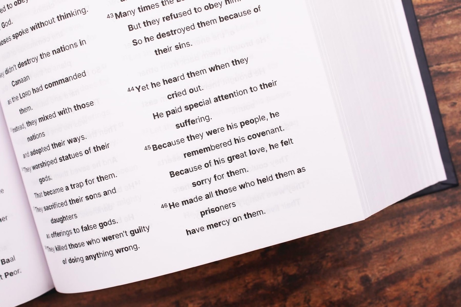 NIrV, Clear Focus Bible, Hardcover, Charcoal/Blue: Read more of the Bible…