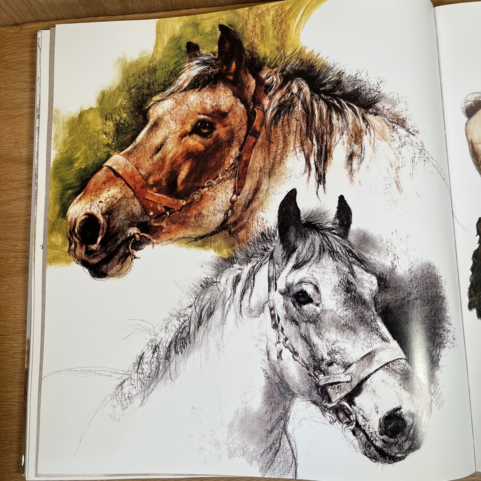 Rien Poortvliet&rsquo;s Horses Book First Edition 1978 Hardcover with DJ Very Good