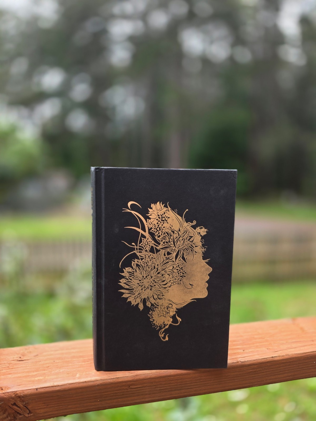 Shield of Sparrows Devney Perry SPRAYED EDGES 1st Edition OOP Hardcover