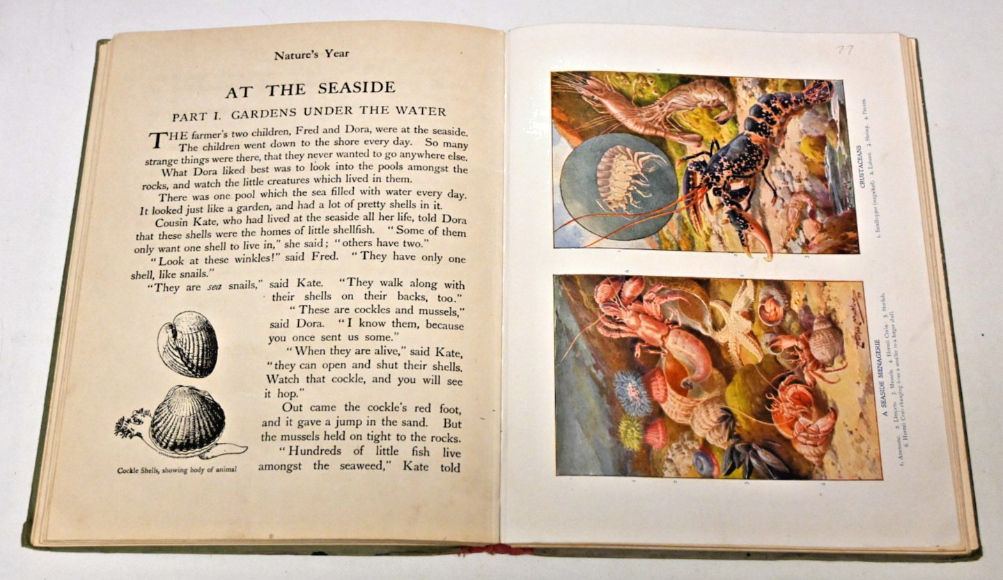 The Children&rsquo;s Year Blackie & Son Limited 1922 Illustrated Hard Cover