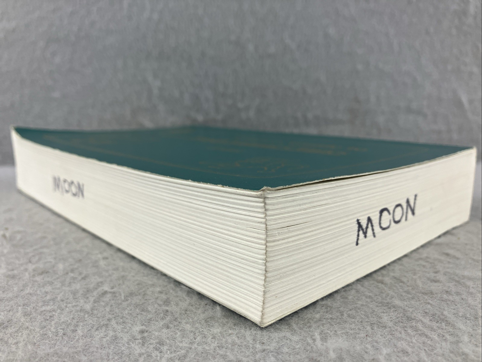 2nd Ed Volume 1 1999 TSCHAUNER&rsquo;S GUIDE TO SMALL ANIMAL CLINICS Chris Pasquini