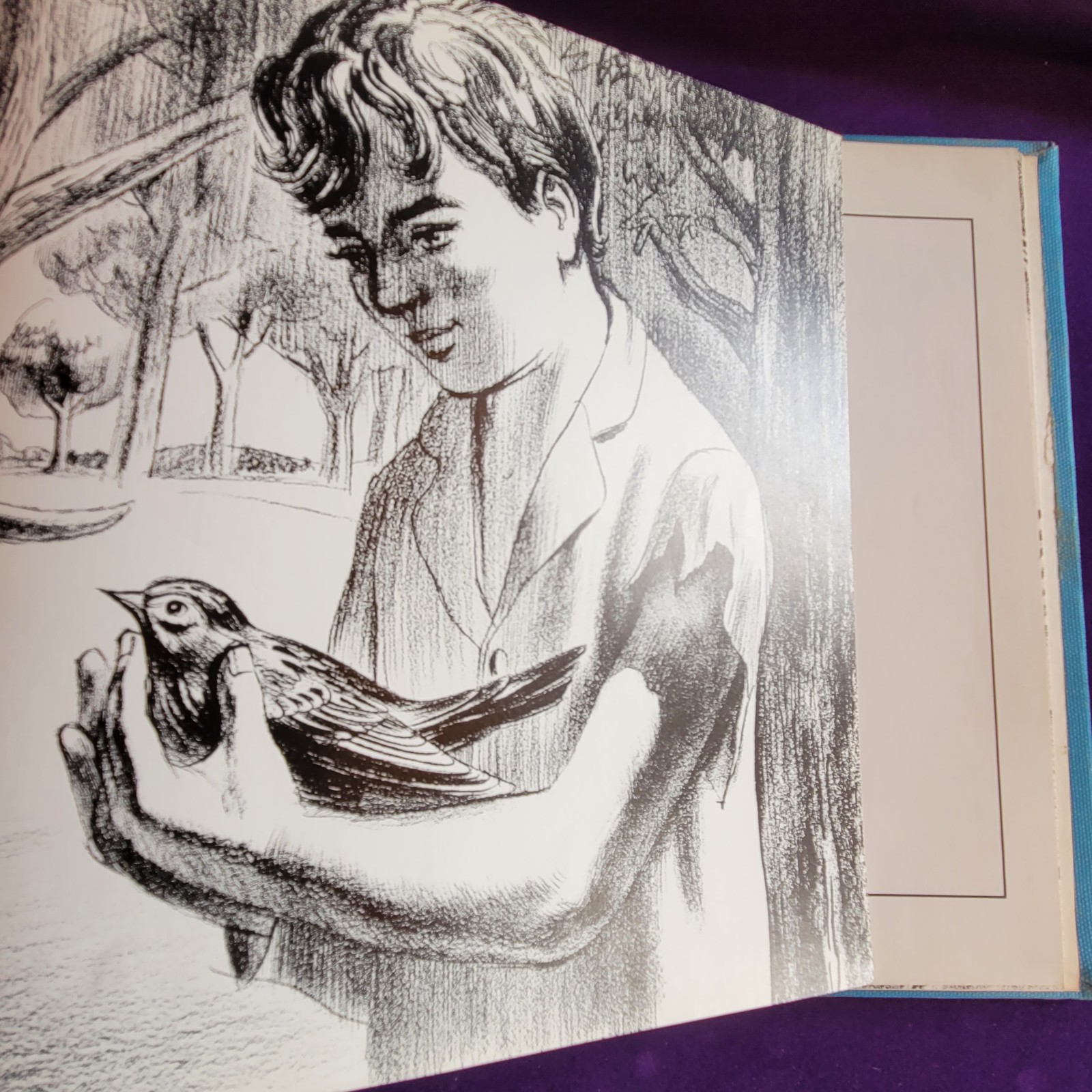 SIGNED Hardcover Children&rsquo;s Book, I Was a Giant Last Night, Mom by Ken Carter