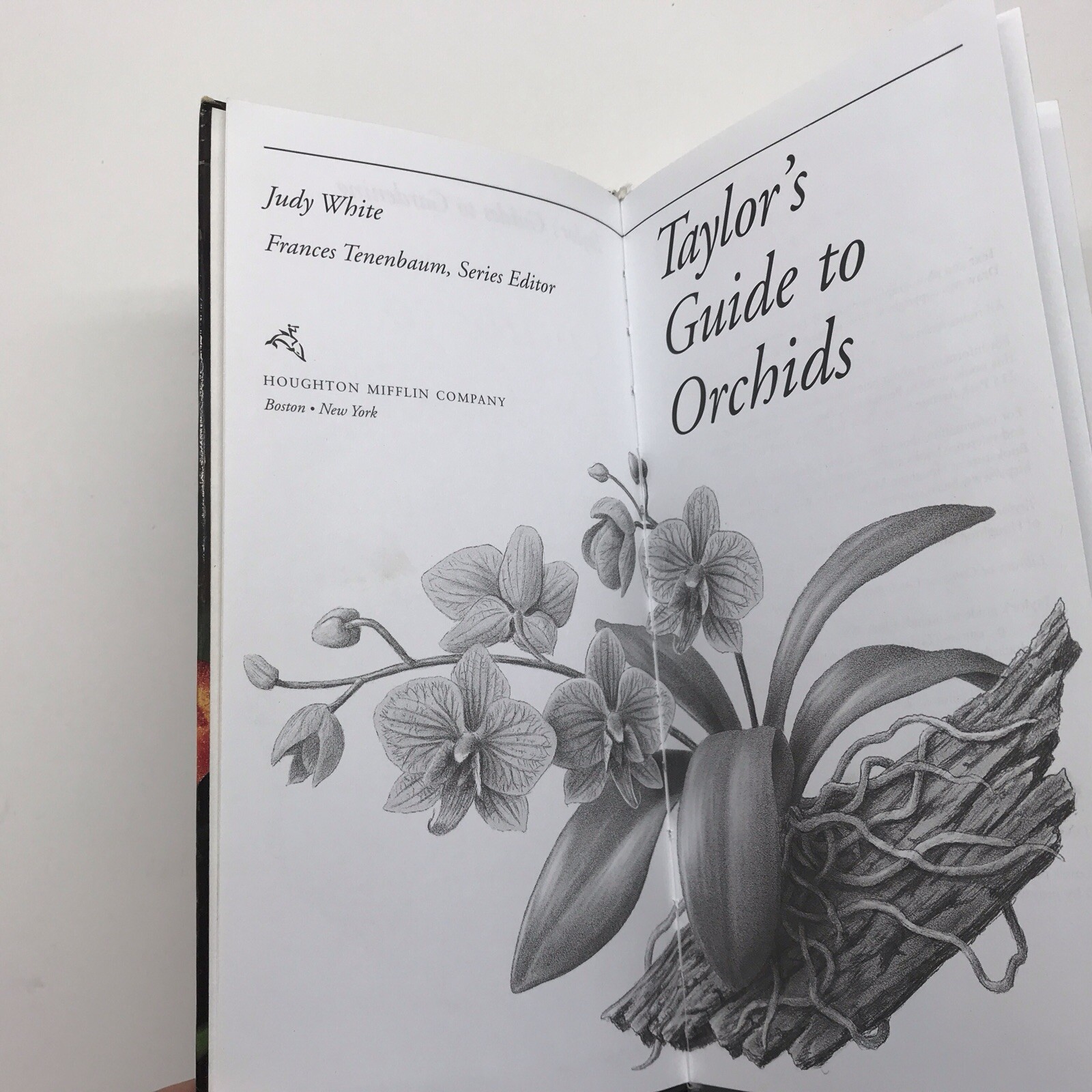 Taylor&rsquo;s Guide to Orchids~1996~Judy White~Ex Library