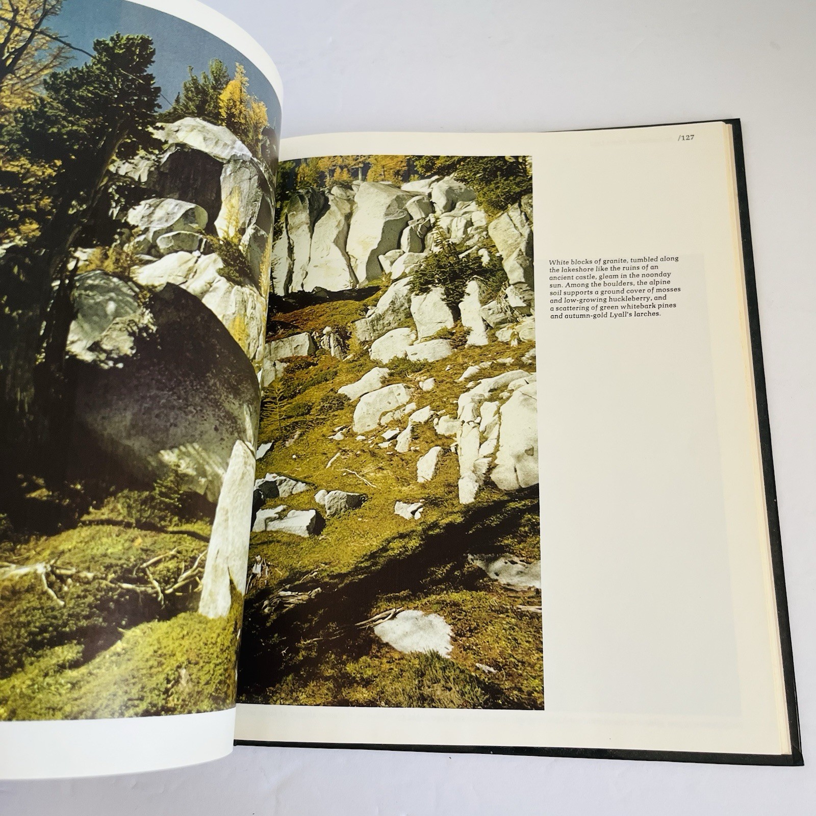 Vintage « The American Wilderness » Time Life Books Collection 1973 Lot of 7