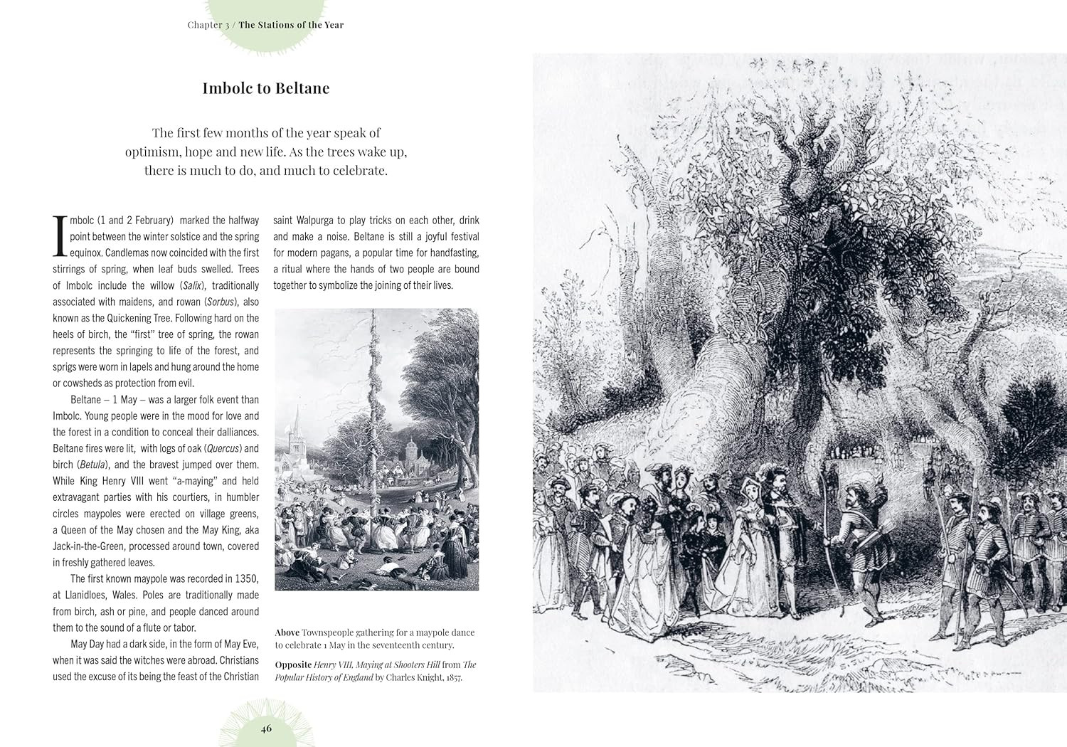 Witch&rsquo;s Forest: Trees in magic, folklore and traditional remedies (Royal Botanic