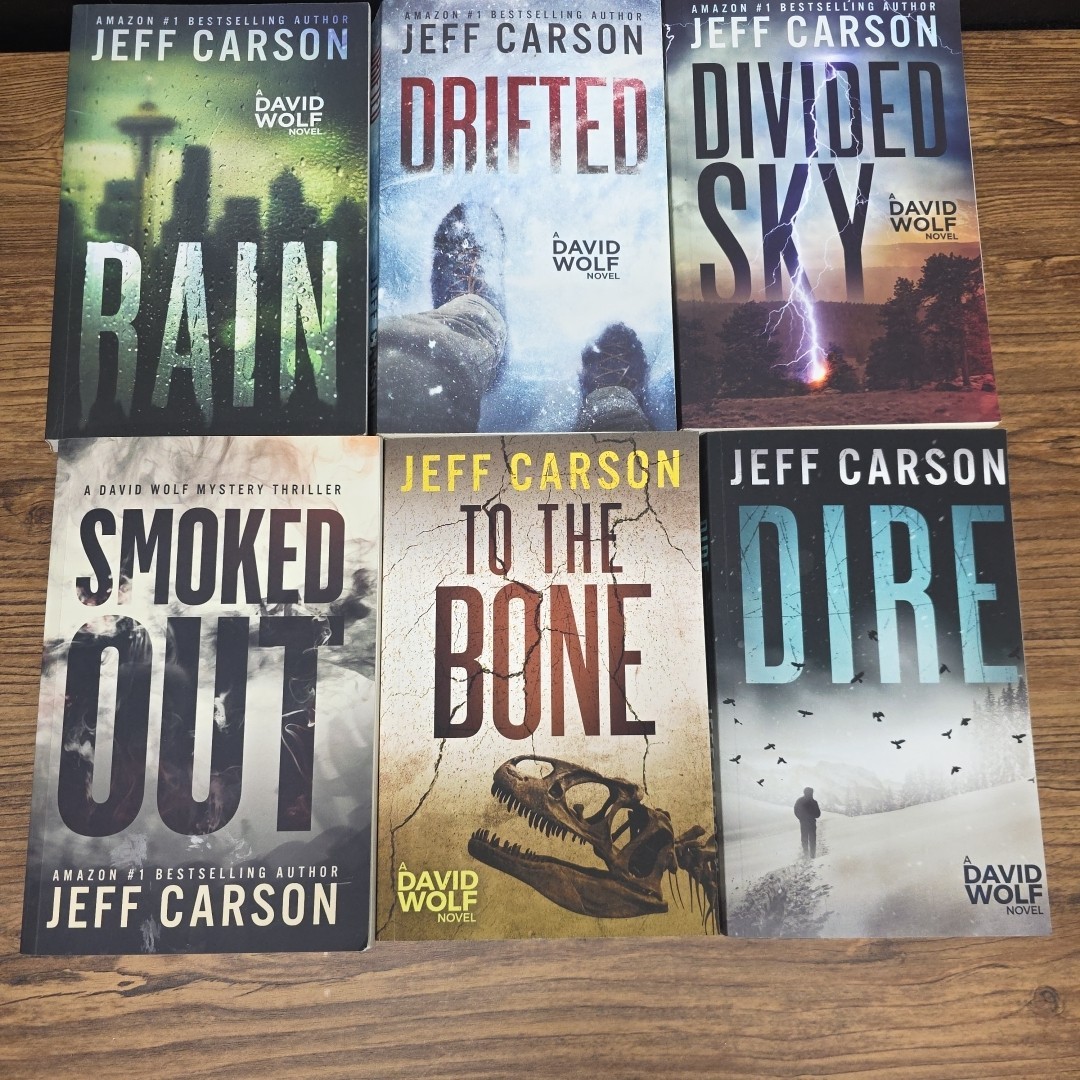 Lot of 12 David Wolf Paperback books by Jeff Carson