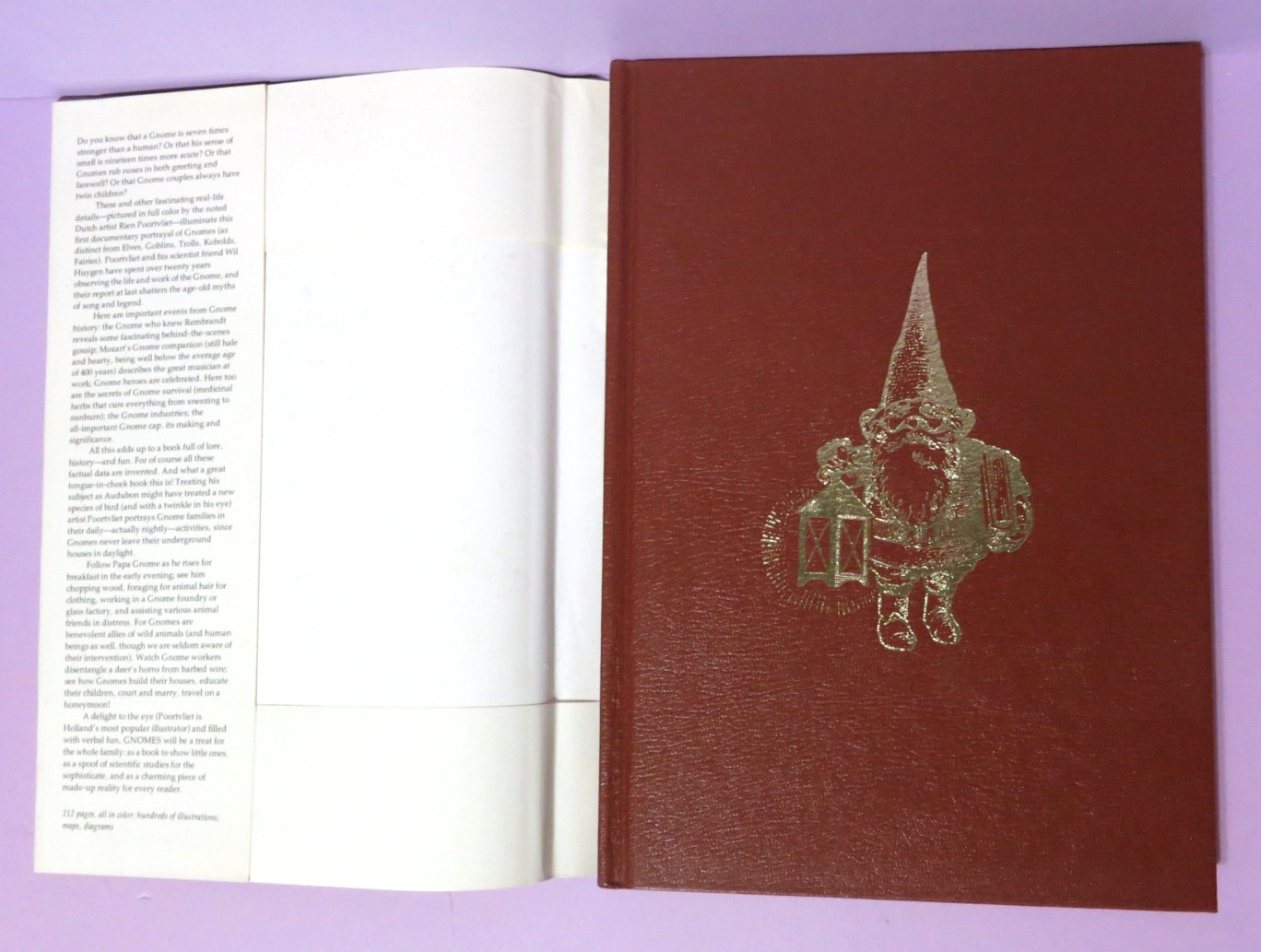 Gnomes by Wil Huygen Illustrated by Rien Poortvliet 1977 Vintage Hardcover DJ
