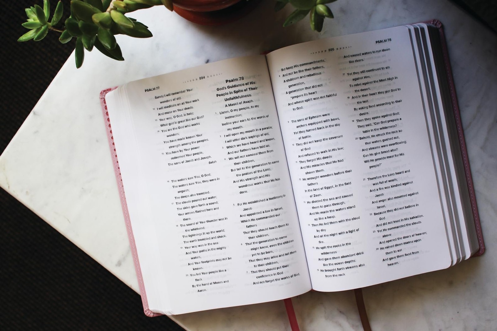 NASB, Clear Focus Bible, Leathersoft, Pink: Read more of the Bible with…