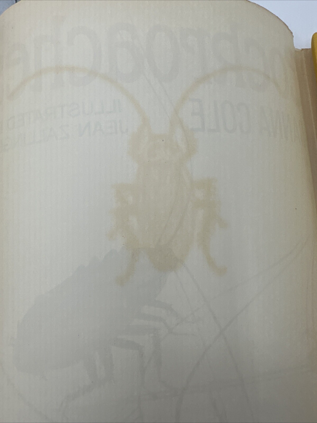 Cockroaches Joanna Cole 1971 3rd Print Jean Zallinger DJ