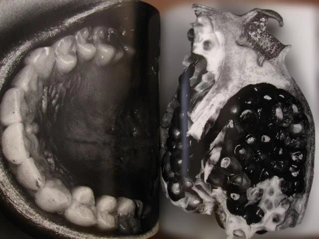 Nobuyoshi Araki « Erotos » Photo Book First edition Hardcover Japanese