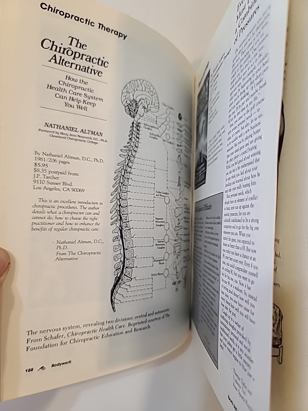 « THE NEW AGE CATALOGUE » (244 PAGES – 1988)