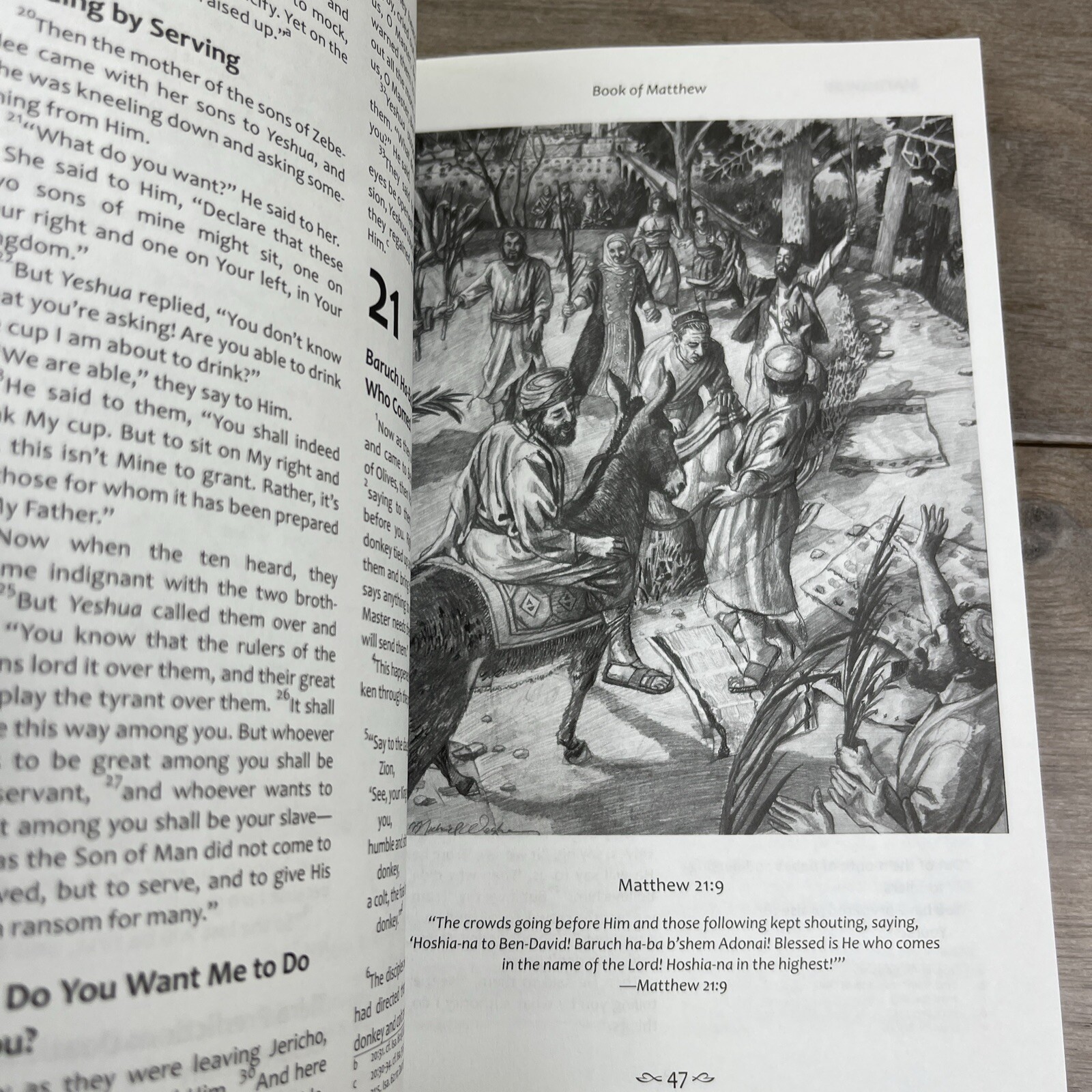 Tree of Life Bible: The Gospels (Messianic Jewish Family Bible Project), Messian