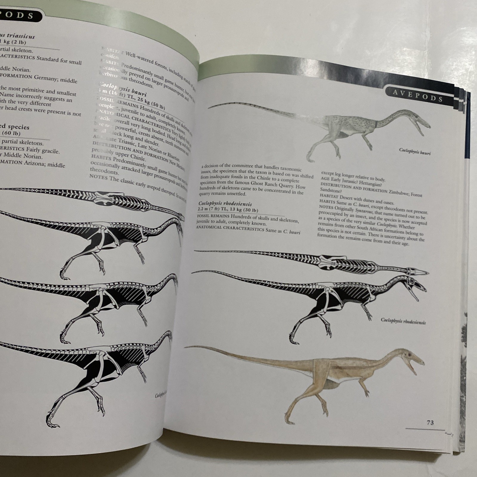 Princeton Field Guide to Dinosaurs Gregory S Paul 2010 1st Printing HC DJ