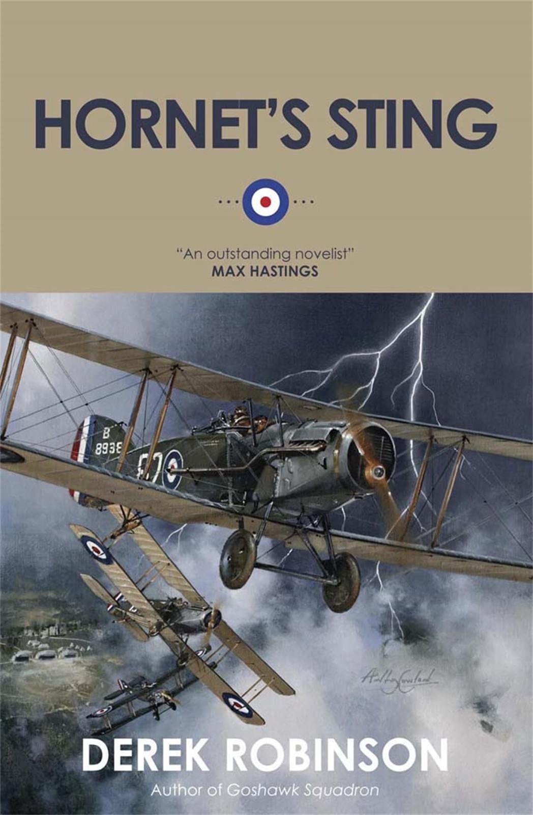 Hornet&rsquo;s Sting