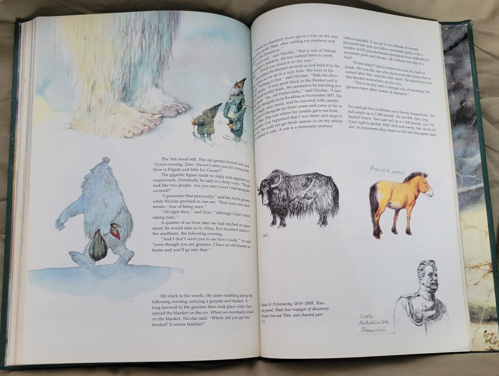 Secrets of the Gnomes by Rien Poortvliet and Wil Huygen (1982, Hardcover)