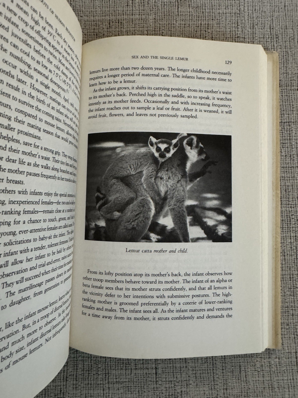 The Lemurs’ Legacy Robert Jay Russell 1993 HC DJ Evolution Power Sex Love