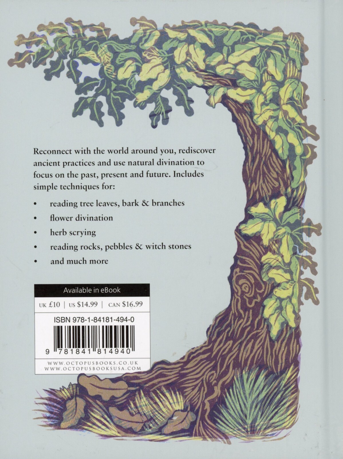Nature&rsquo;s Hidden Oracles : From Flowers to Feathers and Shells to Stones NEW
