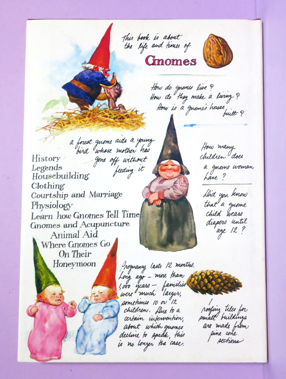 Gnomes by Wil Huygen Illustrated by Rien Poortvliet 1977 Vintage Hardcover DJ