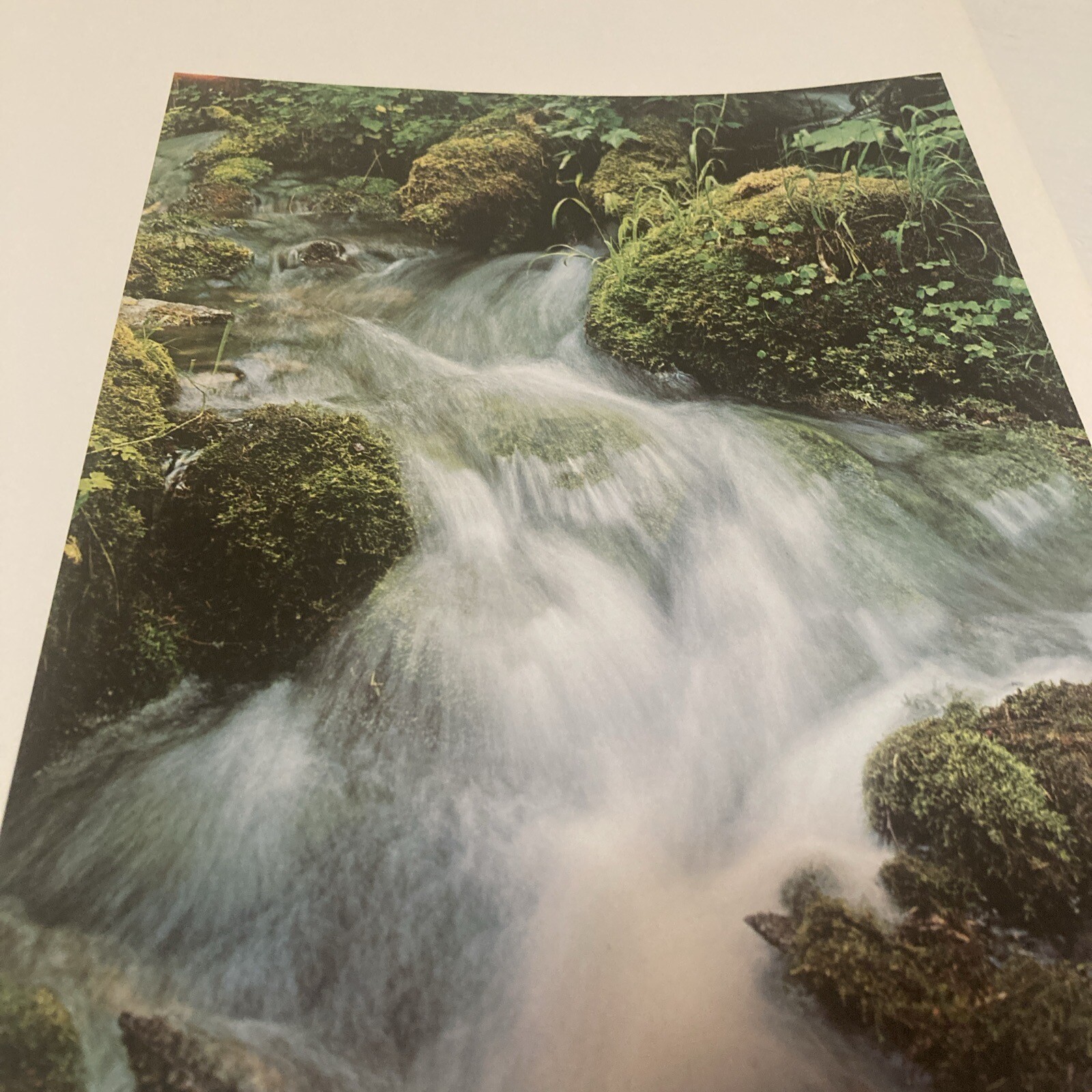 Oregon II Hardcover Large Table Top Book By Ray Atkeson With Dust Jacket…