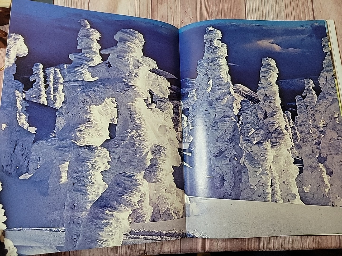 Oregon II Hardcover Large Table Top Book By Ray Atkeson Like New