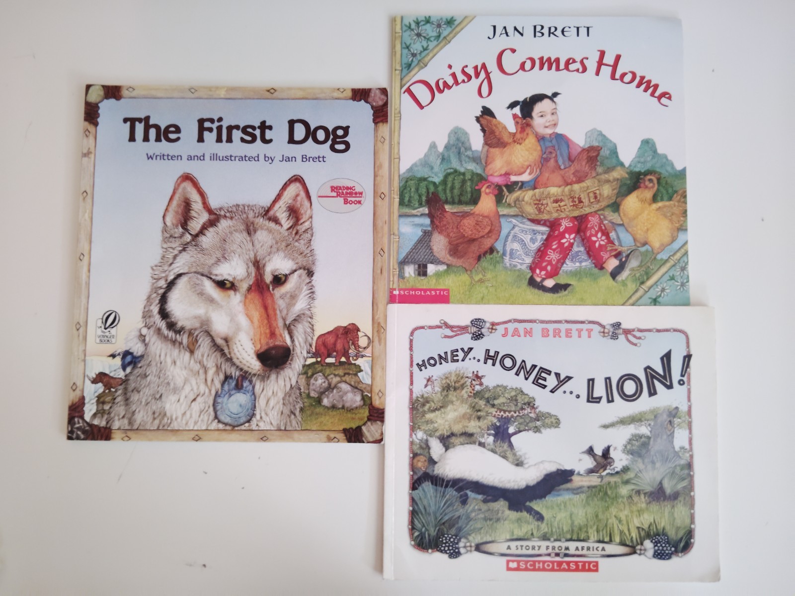 Lot of 15 Jan Brett & more kids picture story books The Hat Mitten Christmas etc
