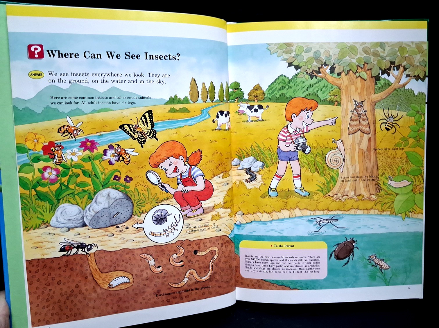 Lot of 3 A Child&rsquo;s First Library of Learning Famous Places, Insects, Sky & Earth