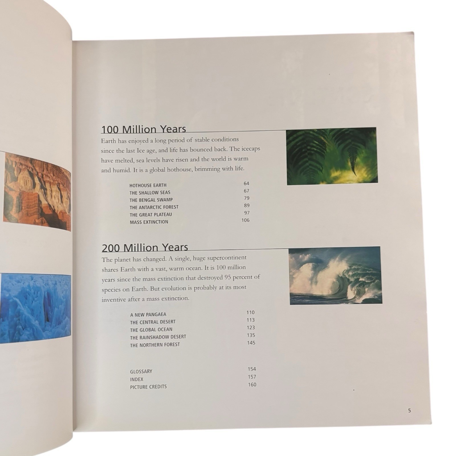 VTG FIRST PRINTING « Future Is Wild » by John Adams (2003, Large Trade Paperback)