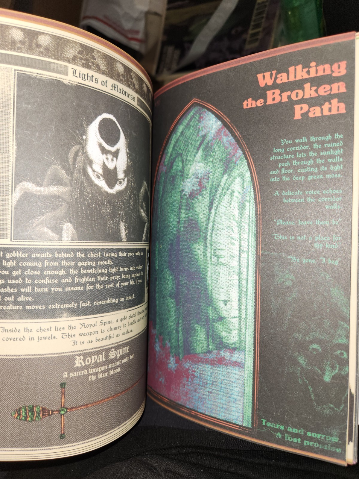 Vermis I 1 Lost Dungeons and Forbidden Woods Official Guide Plastiboo