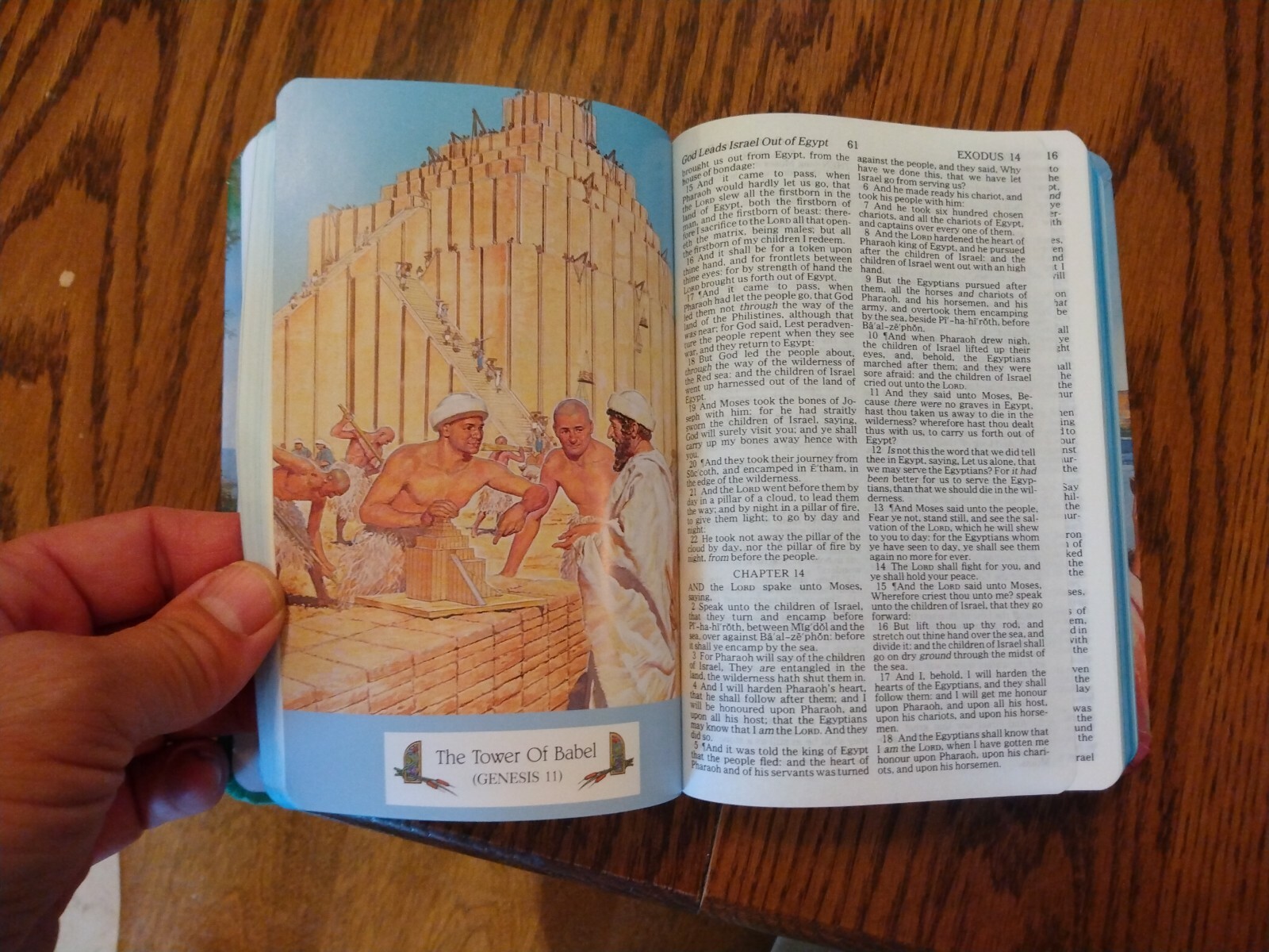 Children&rsquo;s Bible KJV Seaside Bible Illustrated Nelson Hardcover blue edge