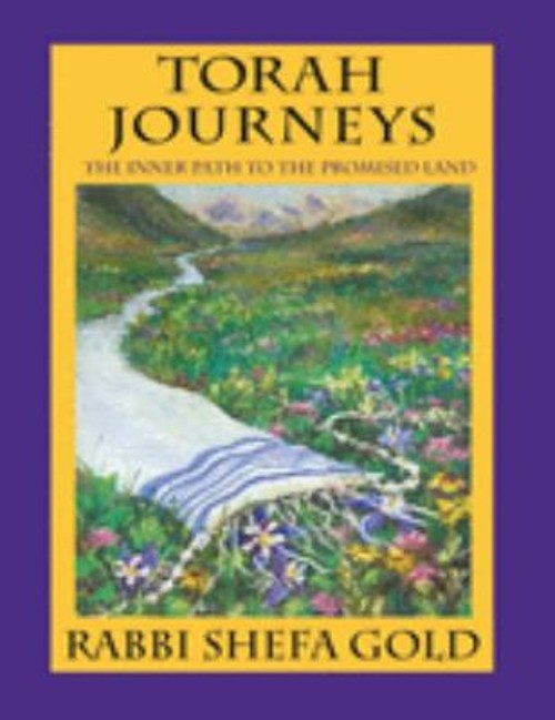 Torah Journeys : The Inner Path to the Promised Land Perfect Shef